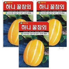 하니 꿀 참외 씨앗 3개입, 1개