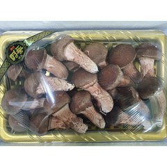 [원탑] 산지직송 직접 수확 맛있는 참송이버섯 선물세트 500g 1kg 명절 추석 설 좋은날, 명품선물세트