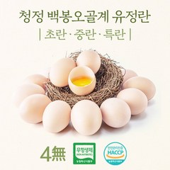 강원도 청정 백봉오골계 유정란 초란 (무항생제 HACCP 인증), 초란 40구