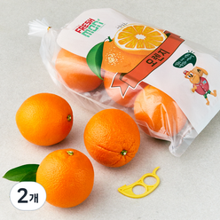 [쿠팡직수입] 프레시몬 오렌지 + 오렌지칼, 1.8kg(7~10입), 2개