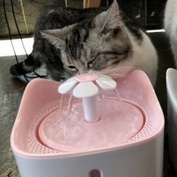 에코펫위드 강아지 고양이 정수기 1.8L, DL-P30, 핑크
