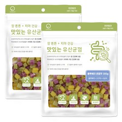 굿데이 맛있는 유산균껌 강아지 간식, 블루베리혼합, 300g, 2개