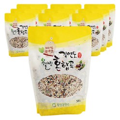 김연도 웰빙 혼합곡 10곡, 500g, 10개