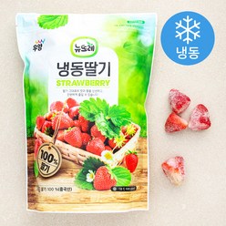 뉴뜨레 중국산 냉동딸기, 1kg, 1개