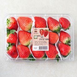 광식이농장 GAP 인증 광식이네 설향 딸기, 500g, 1팩