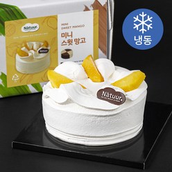 나뚜루 미니 스윗 망고 CAKE 아이스크림 (냉동), 638ml, 1개