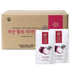 청춘농장 무안 자색 양파즙, 60개, 120ml