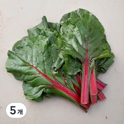 국내산 적근대, 300g, 5개