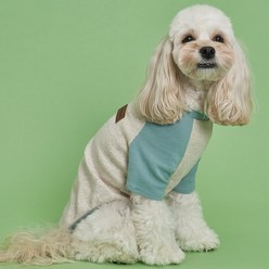 도그아이 강아지 나그랑 티셔츠, 오트밀(소매 하늘)