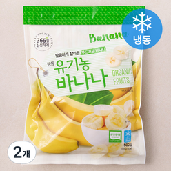 호재준 유기가공식품 인증 바나나 (냉동), 500g, 2개