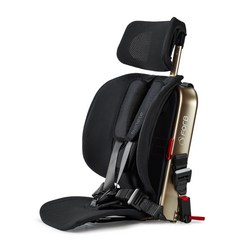 포브 보네떼 ISOFIX 안전벨트 겸용 토들러 주니어 카시트, Gold