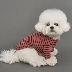 도그아이 강아지 믹스 스트라이프 티셔츠, 커피브라운