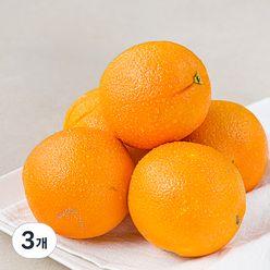 못생겨도 맛있는 호주산 오렌지, 3개, 1.2kg