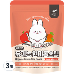 리틀스푼 유아용 유기농 현미롱스틱 쌀과자, 혼합맛(사과 / 당근), 30g, 3개