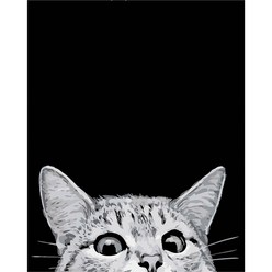더웨일 DIY 유화 명화그리기 50 x 40 cm 고양이, 빼꼼 궁금한 고양이