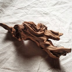 히피하우스 인테리어 촬영용 나무 장식품