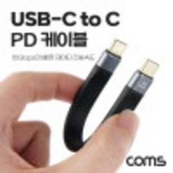 USB 3.1 Type C to C PD 케이블 10Gbps 20cm C타입 kh29379, 1개