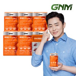 GNM자연의품격 GNM 루테인11 6박스 / 비타민 6종 + 미네랄 4종 눈건강 비타민B 아연 엽산, 단일속성, 선택완료