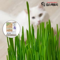 올해 생산 캣그라스 씨앗 100g 고양이풀 캣닢키우기 새싹키우기, 보리씨앗 100gx1봉지