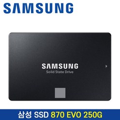 삼성전자 삼성SSD 870 EVO 250GB SATA3 노트북 데스크탑 2.5인치