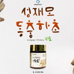 정품 성재모 비로 40g 2병 현미 동충하초 무농약 분말, 2개