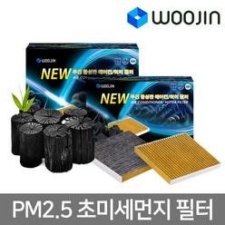 우진필터 PM2.5 초미세먼지 활성탄 H11 자동차 에어컨필터, 기아 카니발1/카니발2 YCK10, 1개