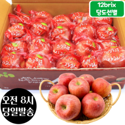 [오전8시 주문건 당일발송] 12브릭스 당도선별 세척사과 3kg (16~21입 소과), 1개