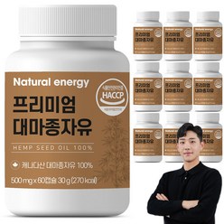 대마종자유 캡슐 캐나다산 식약청 HACCP 인증 웰핏, 60캡슐 X 10박스