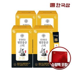 [한국삼] 정성담은 벌꿀 홍삼스틱 10g x 30포 x 4박스+쇼핑백, 4개