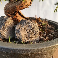 화산석 화분 장식 정원 어항 자갈 돌 자연 용암 석 테라리움 원예 부 자재, 1개