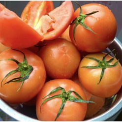 토마토 완숙토마토 찰토마토 국내산 정품 중과 1kg 2kg 5kg 당일수확, 토마토 2kg, 1개