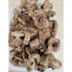 자연산 능이버섯 건조능이 100g A급 말린능이버섯 삼계탕재료 히말라야 청정지역 티벳 제배 건조능이버섯, 1개, 건조능이버섯 A급 100g