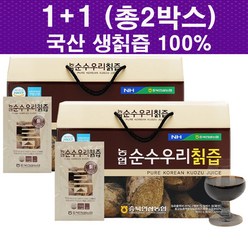 (1+1 특판) 충북농협 국산 토종 100% 생칡즙 30포 X 2박스 (손잡이박스) 국산 칡추출액 99.85% 국산홍삼 0.15% 첨가물없이 칡과 홍삼만 사용 여성갱년기, 2개, 2400ml