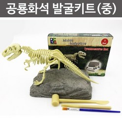 공룡화석 발굴키트(중형)-4종택1 RTS
