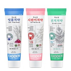 엑소덴 입냄새 구취 제거 잇몸 시린이 건치 치약 120g, 엑소덴 시린이치약 120g, 1개