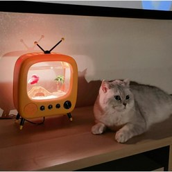 캣플릭스 냥플릭스 고양이TV 냥TV 물멍어항 고양이멍때림 고양이주의돌리기 고양이혼자놀기 조명색상조절 물고기미포함, 33x13x23cm, 연두TV (산소 생성기+조절가열판)