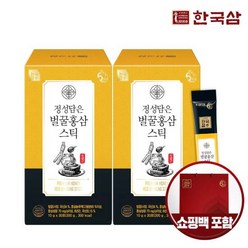 한국삼 정성담은 벌꿀 홍삼스틱 30포 x 2박스+쇼핑백, 단품, 단품