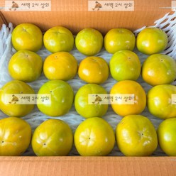 경남 햇 단감 부유 진주 창원 진영 최상급 고당도, 1박스, 4kg(24과수 내외)