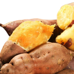 올바이썬 깔끔한 세척 꿀 고구마 10kg 해남 산지직송 Sweet Potato, 1개, 10kg 한입사이즈(미니)