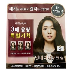 려 우아채 멋내기 새치크림 염모제 3배 용량 특별기획 360g, 5N 자연갈색, 1개