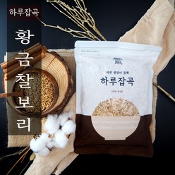 식탐대첩 1893 하루잡곡 국내산 발아 황금찰보리 800g, 없음