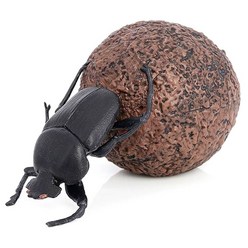 쇠똥구리 모형 소똥구리 딱정벌레 6cm 곤충 모형 장식 자석 시리즈 가짜 벌레 연출 인조 해충 교구 교육