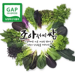 [조아쌈] GAP 모듬 쌈채소 샐러드 야채 수확배송, 1kg(모듬쌈), 1개, 쌈채소 모듬쌈 1Kg