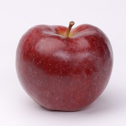 [율이네식탁] 감홍사과 정품 프리미엄급, 1박스, 감홍 사과 2kg(중소과/8~10과)