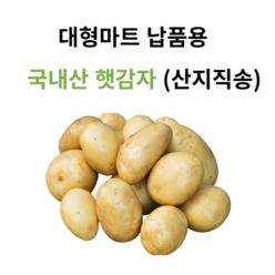 햇 감자 수미 20kg 10kg 5kg 못난이 정품, 9.8kg 특사이즈 (가정집요리용), 1개