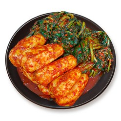 [진담김치] 전라도 총각김치 알타리무 김치 I 국산 천연재료 진한 감칠맛의 전라도김치, 3kg, 1개