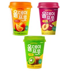 올데이프룻 자두 오렌지 키위 (맛선택) 250mL x 10개입+ 아이스포장, 자두 250mL x 10개입, 10개