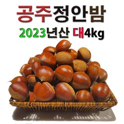 공주밤 정안밤 알밤 햇밤 고맛나루밤 맛 대보 생율 햇 국산 특산물 간식 특산품 왕밤 대4kg, 1개