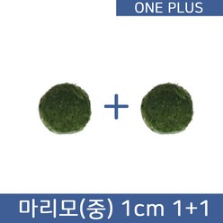 [원플러스 특가] 마리모 단품 중 1cm (1+1)