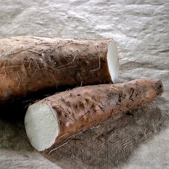 [삼시세끼연구소] 국내산 안동 산마 생마 안동마 장마 참마 가정용 특상 특품, 2.장마, 1.장마 중품 1kg, 1개